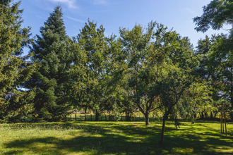 achat maison mtmerle-sur-saone 01090