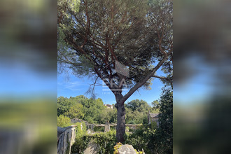 achat maison mtolieu 11170