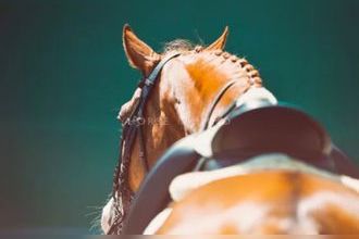 achat maison mtpellier 34000