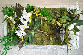 achat maison mtpellier 34000