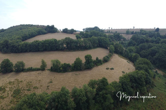 achat maison mtredon-labessonnie 81360