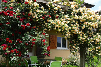 achat maison mtrejeau 31210