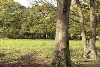 achat maison nantes 44000