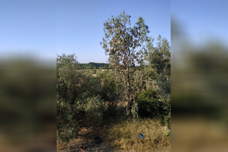 achat maison narbonne 11100