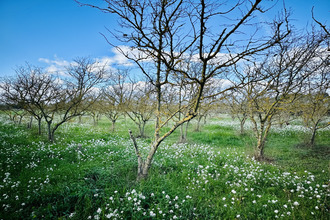 achat maison narbonne 11100