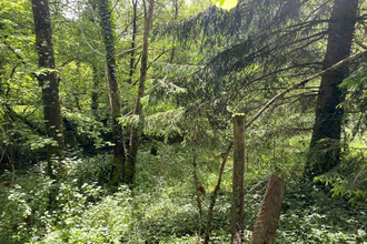 achat maison nedde 87120