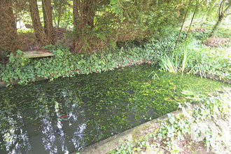 achat maison neufchatel-en-bray 76270