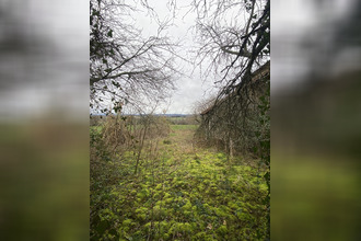 achat maison neuvic-entier 87130