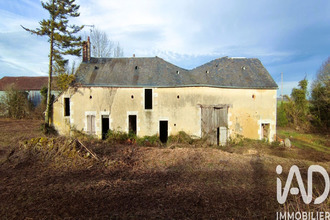 achat maison neuvy-deux-clochers 18250