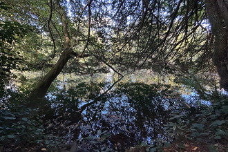 achat maison niort 79000