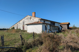 achat maison noaillac 33190