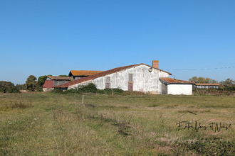 achat maison noaillac 33190