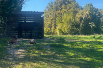 achat maison nogaro 32110