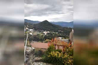 achat maison oletta 20232