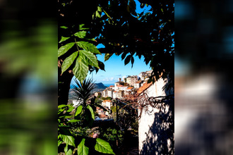 achat maison oletta 20232