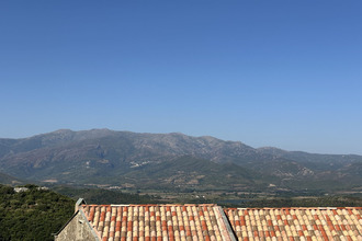 achat maison oletta 20232