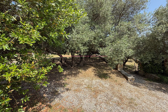 achat maison ollioules 83190