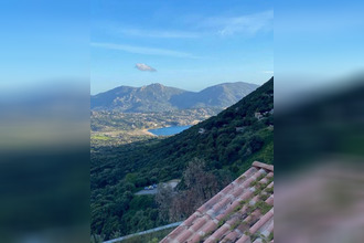 achat maison olmeto 20113