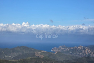 achat maison olmi-cappella 20259