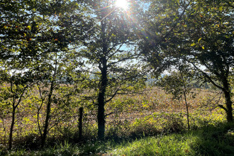 achat maison oradour-sur-vayres 87150