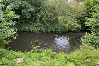 achat maison ouges 21600