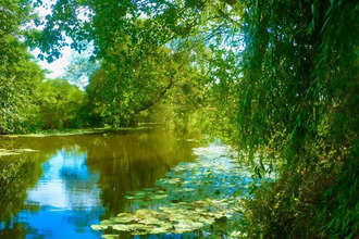 achat maison palinges 71430