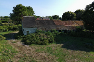 achat maison palluau-sur-indre 36500