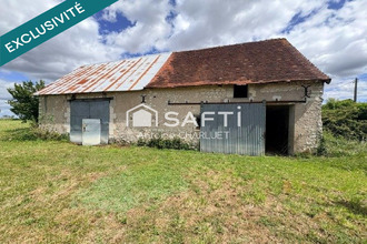 achat maison palluau-sur-indre 36500