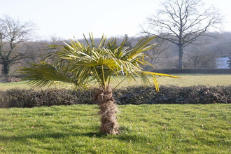 achat maison paray-le-monial 71600