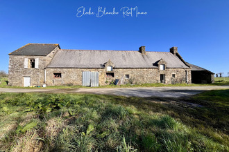 achat maison peaule 56130