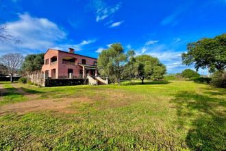 achat maison penta-di-casinca 20213