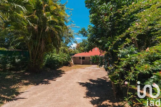 achat maison petit-bg 97170