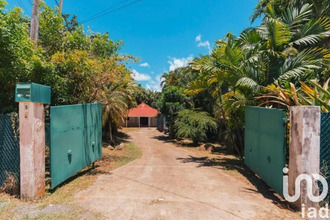 achat maison petit-bg 97170