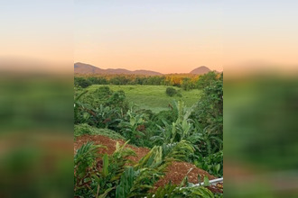 achat maison petit-bg 97170