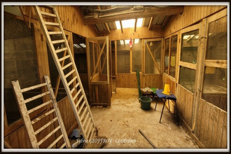 achat maison pexonne 54540