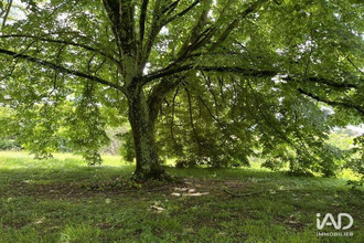 achat maison peyrissas 31420