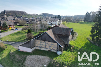 achat maison pfetterhouse 68480
