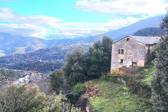 achat maison pie-d-orezza 20229