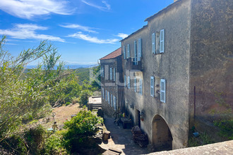 achat maison pietracorbara 20233