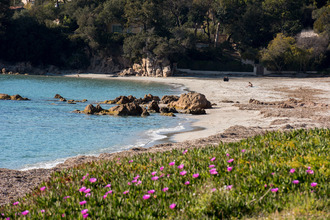 achat maison pietrosella 20166