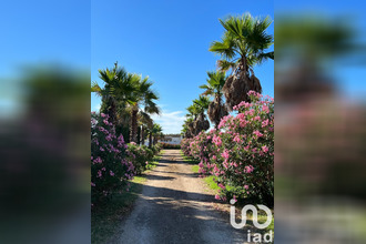 achat maison pignan 34570