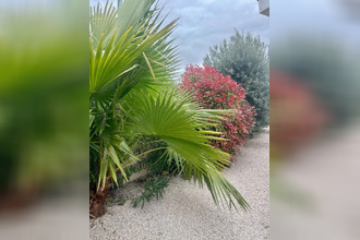 achat maison pinet 34850