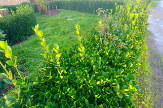 achat maison plabennec 29860