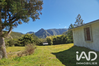 achat maison plaine-des-palmistes 97431