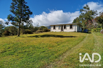 achat maison plaine-des-palmistes 97431