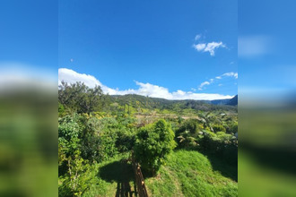 achat maison plaine-des-palmistes 97431