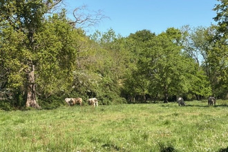 achat maison plaisance 32160