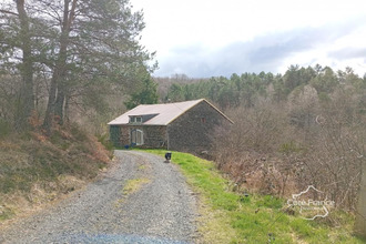 achat maison pleaux 15700