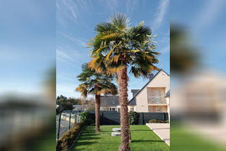 achat maison ploermel 56800