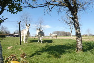 achat maison plombieres-les-bains 88370